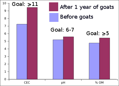 Soil improvement with goats