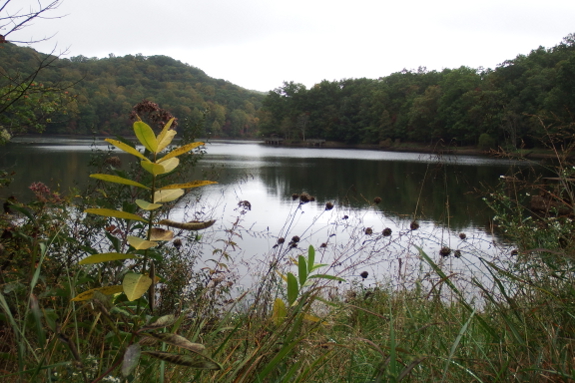 Bark Camp Lake