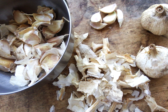 Garlic planting