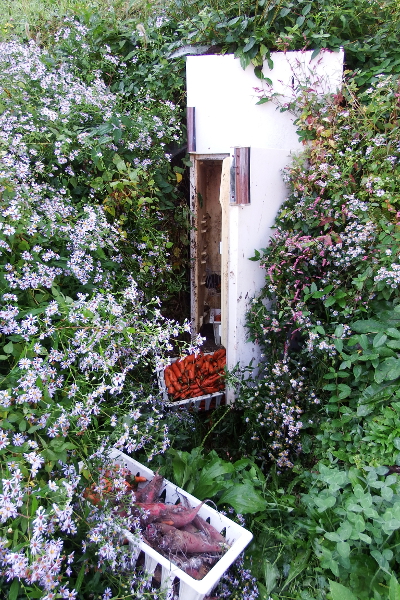 Fridge root cellar