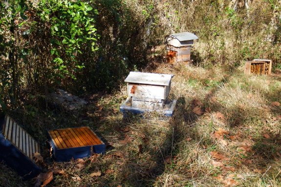 Apiary