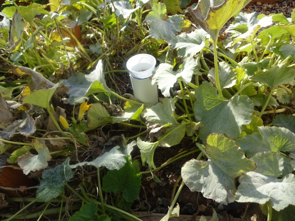 In-garden worm bin