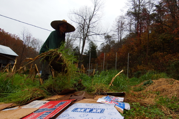 Gardening in the rain