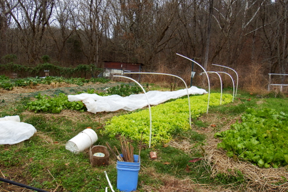 Erecting a quick hoop