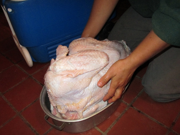 Turkey roaster