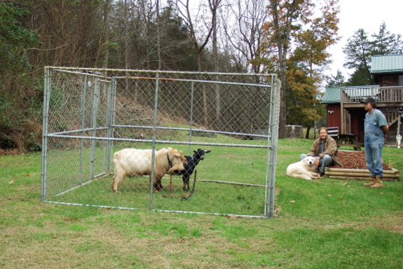 Breeding pen