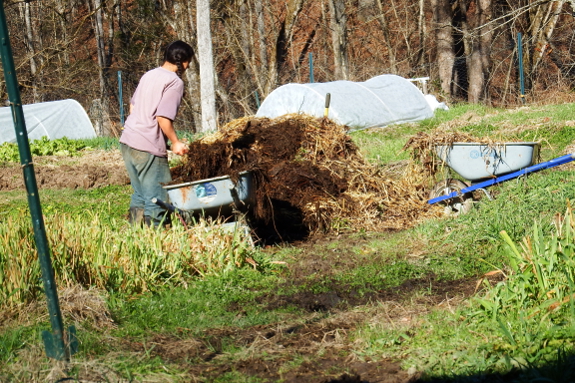 Building a compost pile