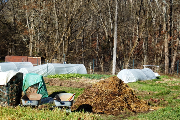 Compost pile in the winter garden