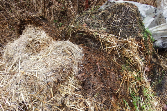 Dry compost pile