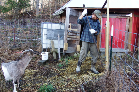 Finishing a goat gate