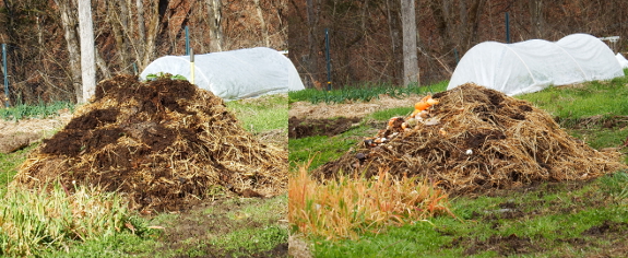 10-day compost pile