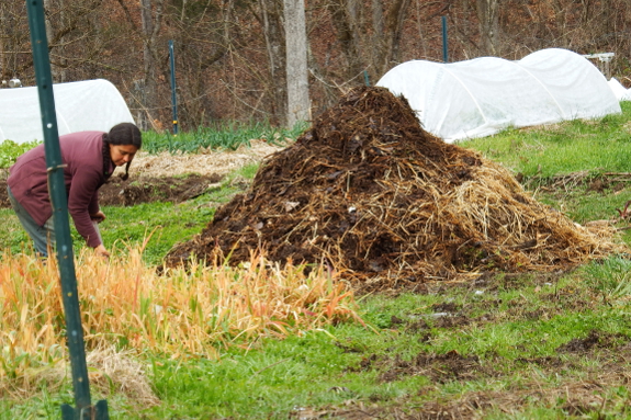 Turning the compost pile