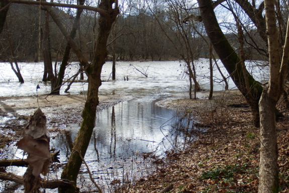 Receding flood