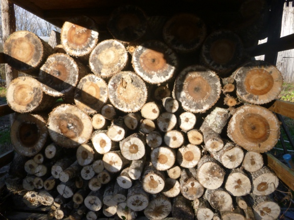 firewood status