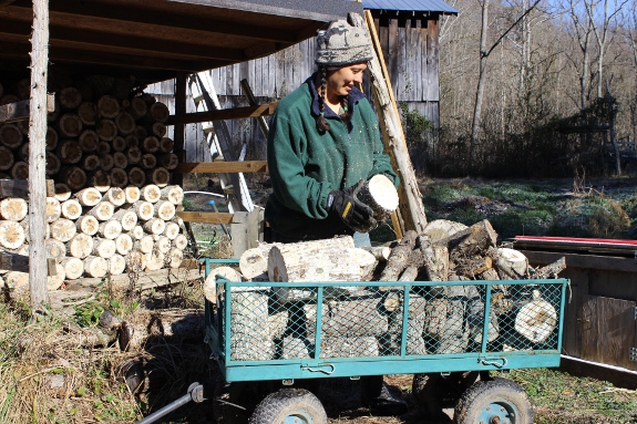 Anna loading up garden wagon with firewood