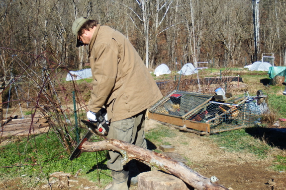 Cutting up a branch