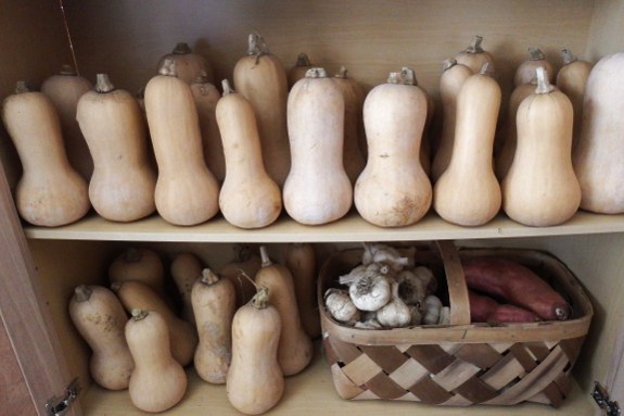 Butternut cabinet