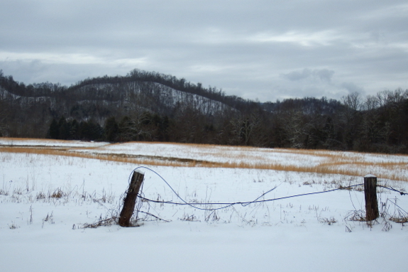 Snowy hay field