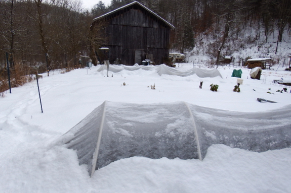 Quick hoops dug out of the snow