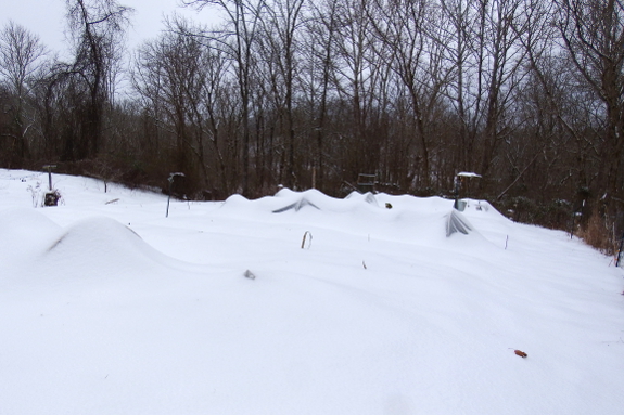 Snow-covered quick hoops