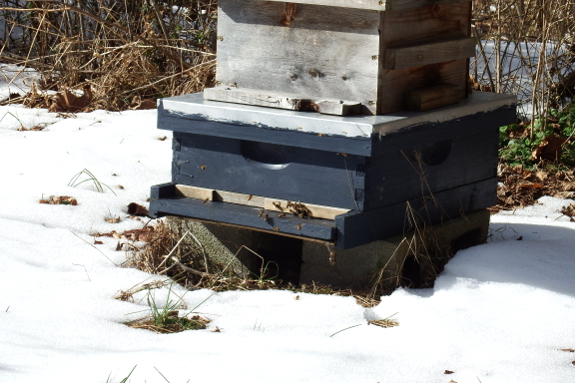 Snowy bee hives