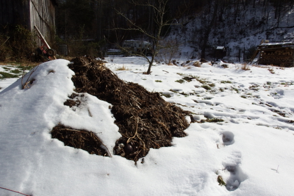 Snowy compost pile