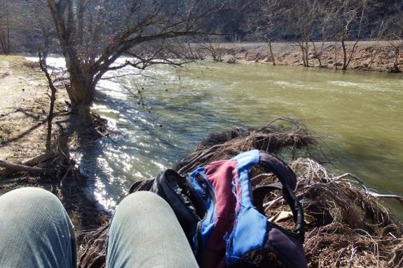 River perch