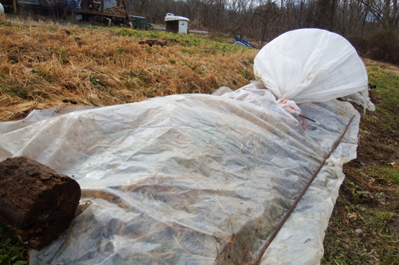 Preheating the garden