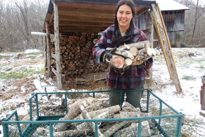 Moving firewood