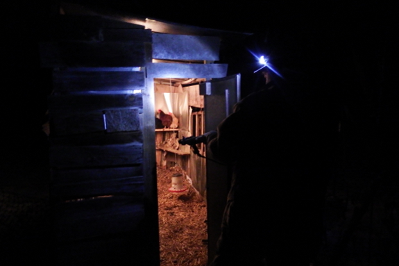 Farmer with gun