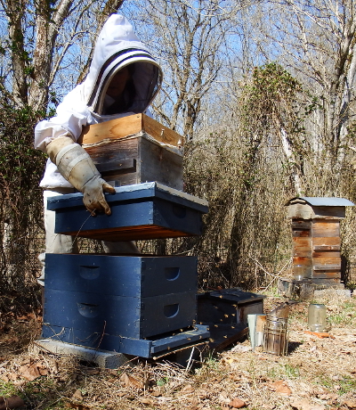Nadiring the langstroth hive