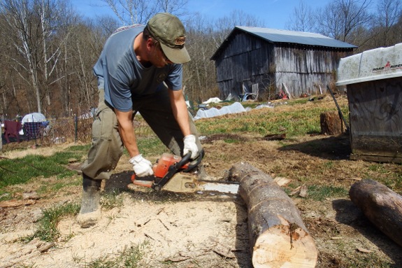 039 stihl chainsaw in action