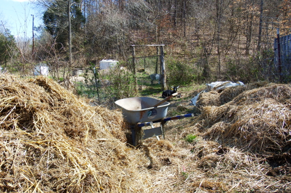 Manure alley