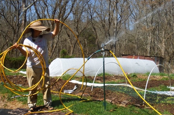 anna with sprinklers