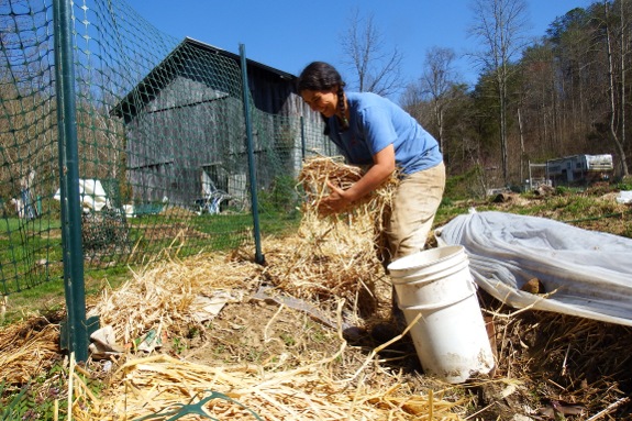 using wet newspaper to mulch garden with straw