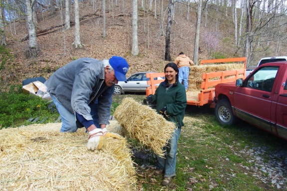 Anna and Walter putting up straw bales