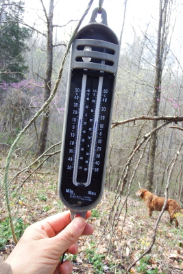 Hanging thermometer