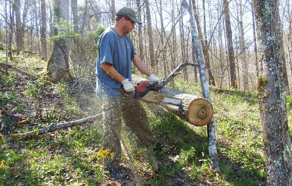 firewood cutting