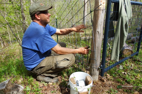 bias cut cattle panel filling in the gap
