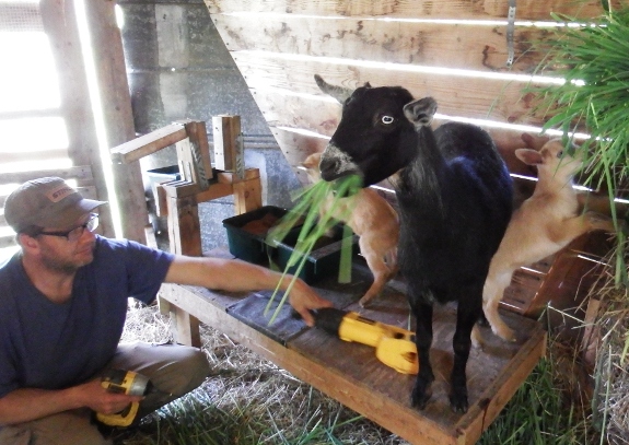 mineral feeder location