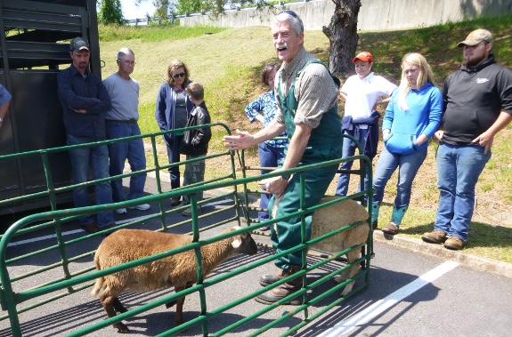 goat and sheep workshop at MEEC