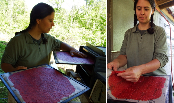 Strawberry leather