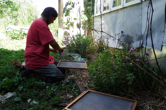 Herb garden