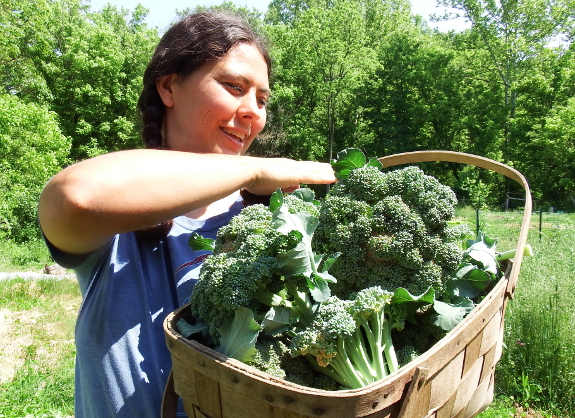 Basket of broccoli