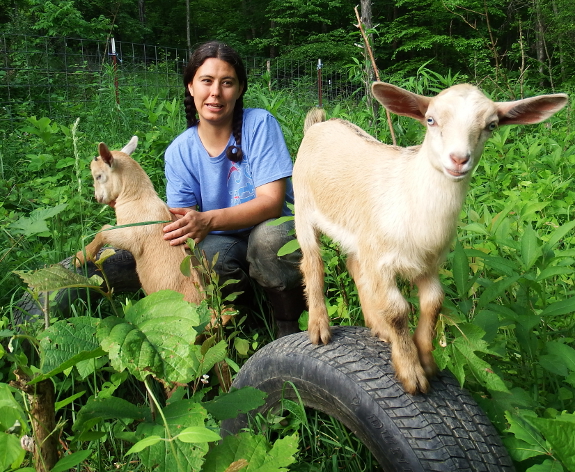 Goat kids