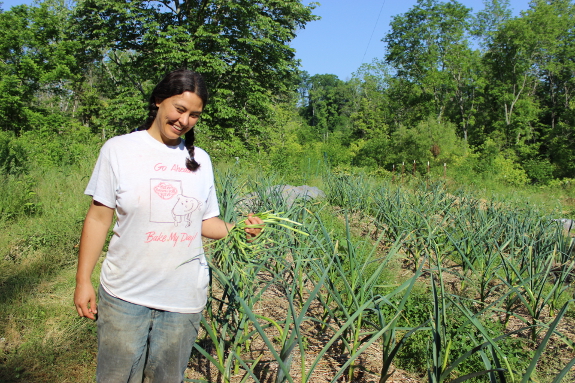 garlic scapes with Anna