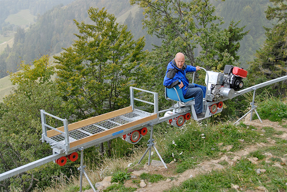 monorack with pallet car