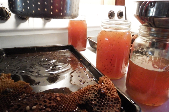 Honey harvest!