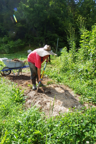 Moving garden beds