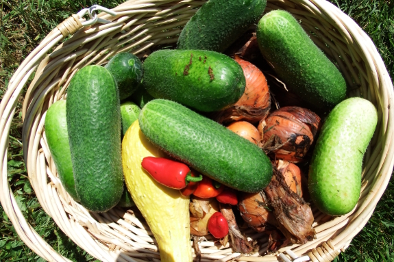 Basket of produce